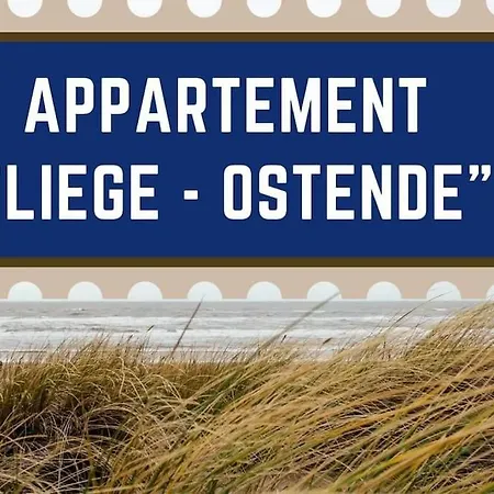 Apartament Familial, Lumineux Avec Parking & Terrasse