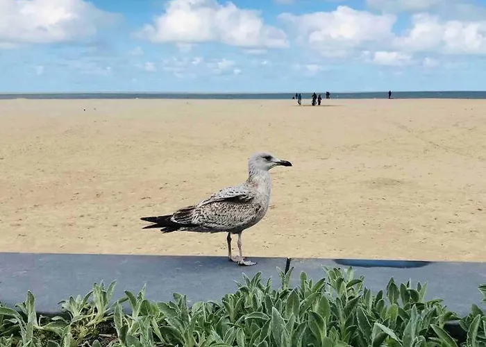 Familial, Lumineux Avec Parking & Terrasse